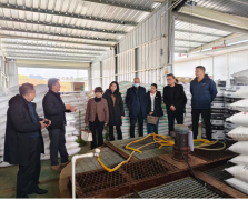 我们的糖料蔗出产机械化、数字化程度比力高